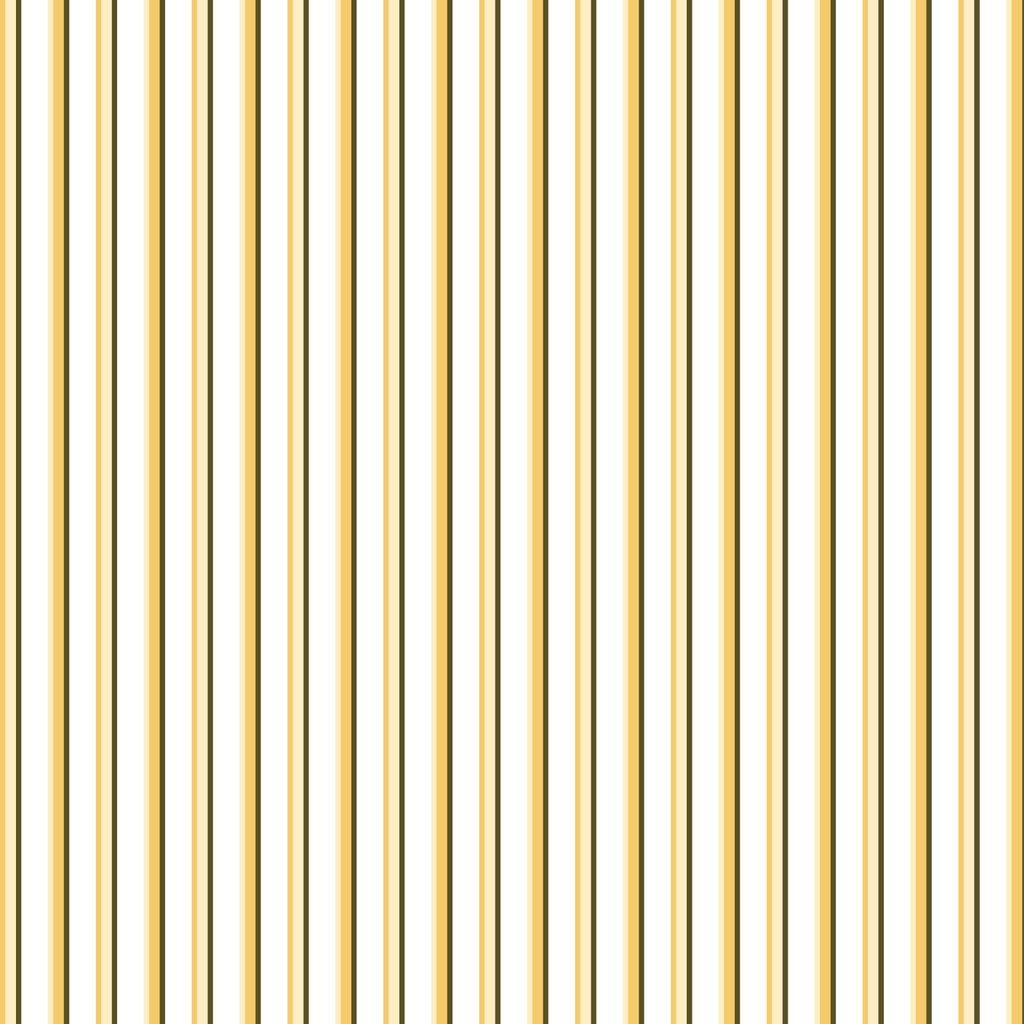 FW BP - Poplin TSTB07-004