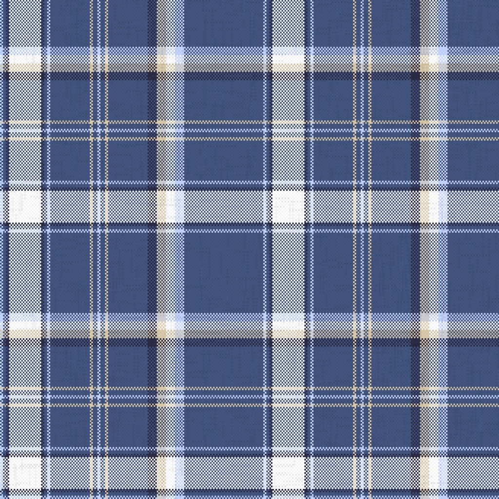 FW BP - Poplin TSTB07-255