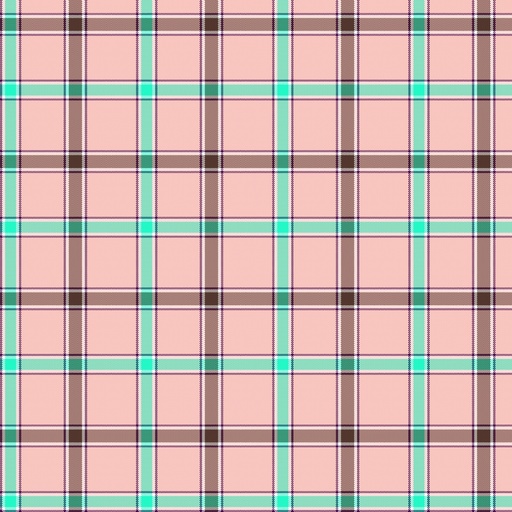 FW BP - Poplin TSTB07-149